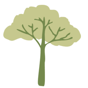 ALBERO
